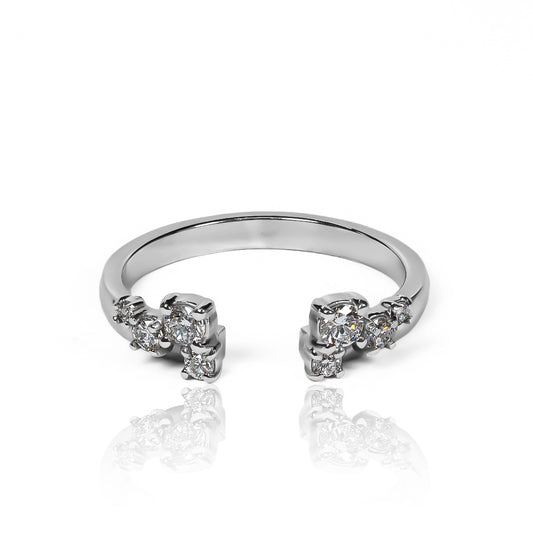 Anillo Pisargolla Quantum Gravity