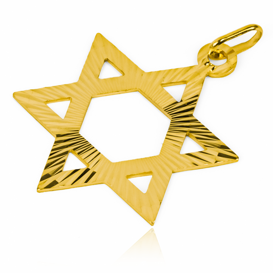 Dije de Estrella de David XL I es una pieza de joyería verdaderamente excepcional. Hecho de oro 18K y con la garantía de por vida de Joyería Caracas.