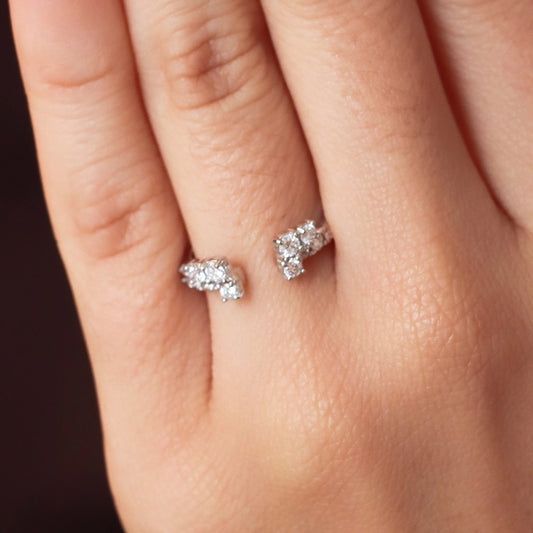 Anillo Pisargolla Quantum Flux