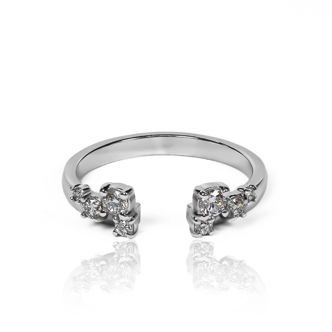 Anillo Pisargolla Quantum Gravity