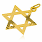 Dije de Estrella de David XL I es una pieza de joyería verdaderamente excepcional. Hecho de oro 18K y con la garantía de por vida de Joyería Caracas.