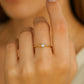 Anillo Circuit