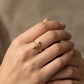 Anillo smooth snake lisa