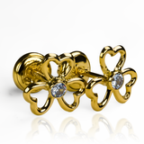 Encantará su corazón con los Topitos Trébol de corazones, joyas Caracas en Oro 18K con garantía de por vida. La combinación perfecta de elegancia y durabilidad para un regalo que perdura para siempre. Un símbolo de amor eterno en su joyero.