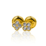Topitos trébol S están hechos con oro de 18k de Joyería Caracas. Una pieza de alta calidad que refleja tu buen gusto y suerte.