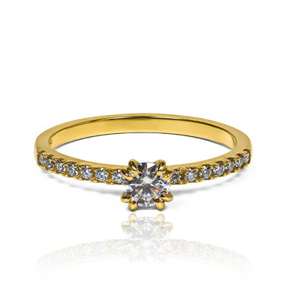 Anillo Coroa Dual - Moissanita